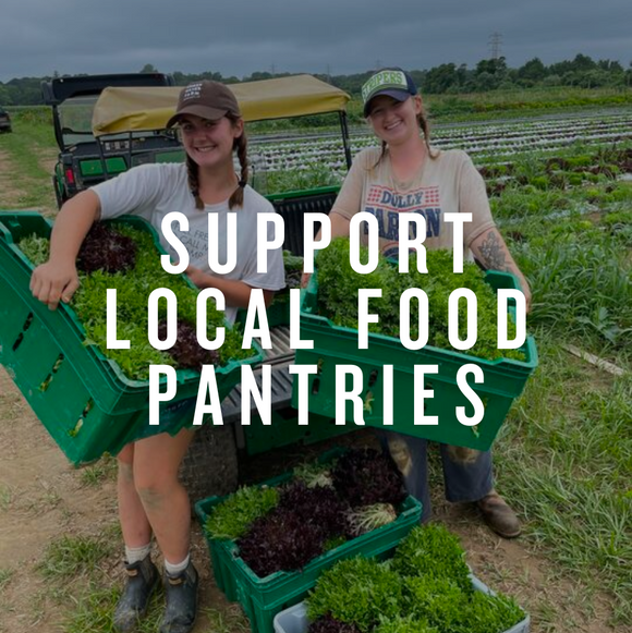 Support Local Food Pantries