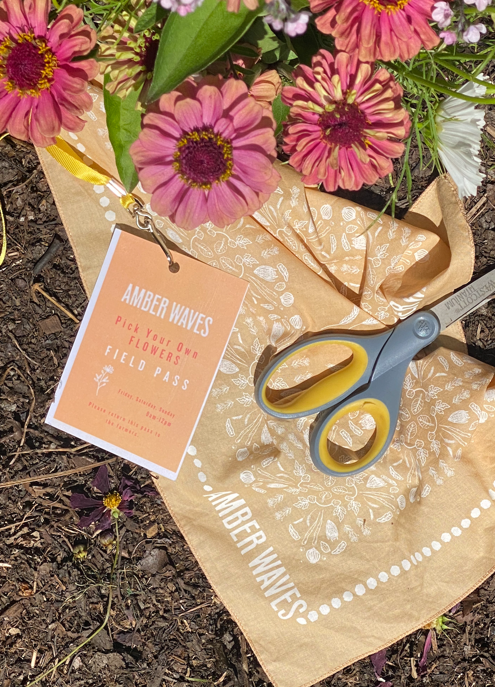 Pick Your Own Flowers at Amber Waves
