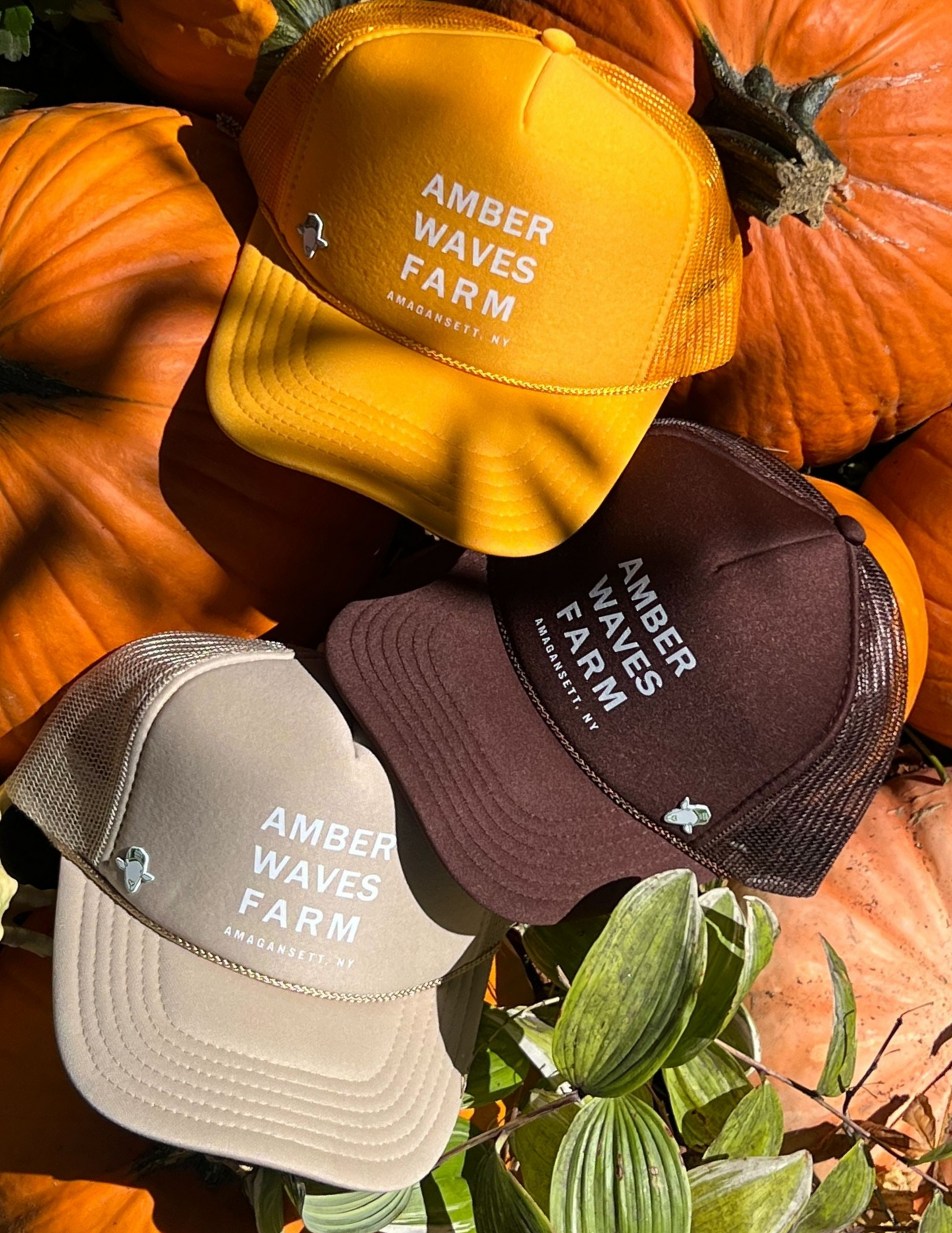 Explore & Support the Farm