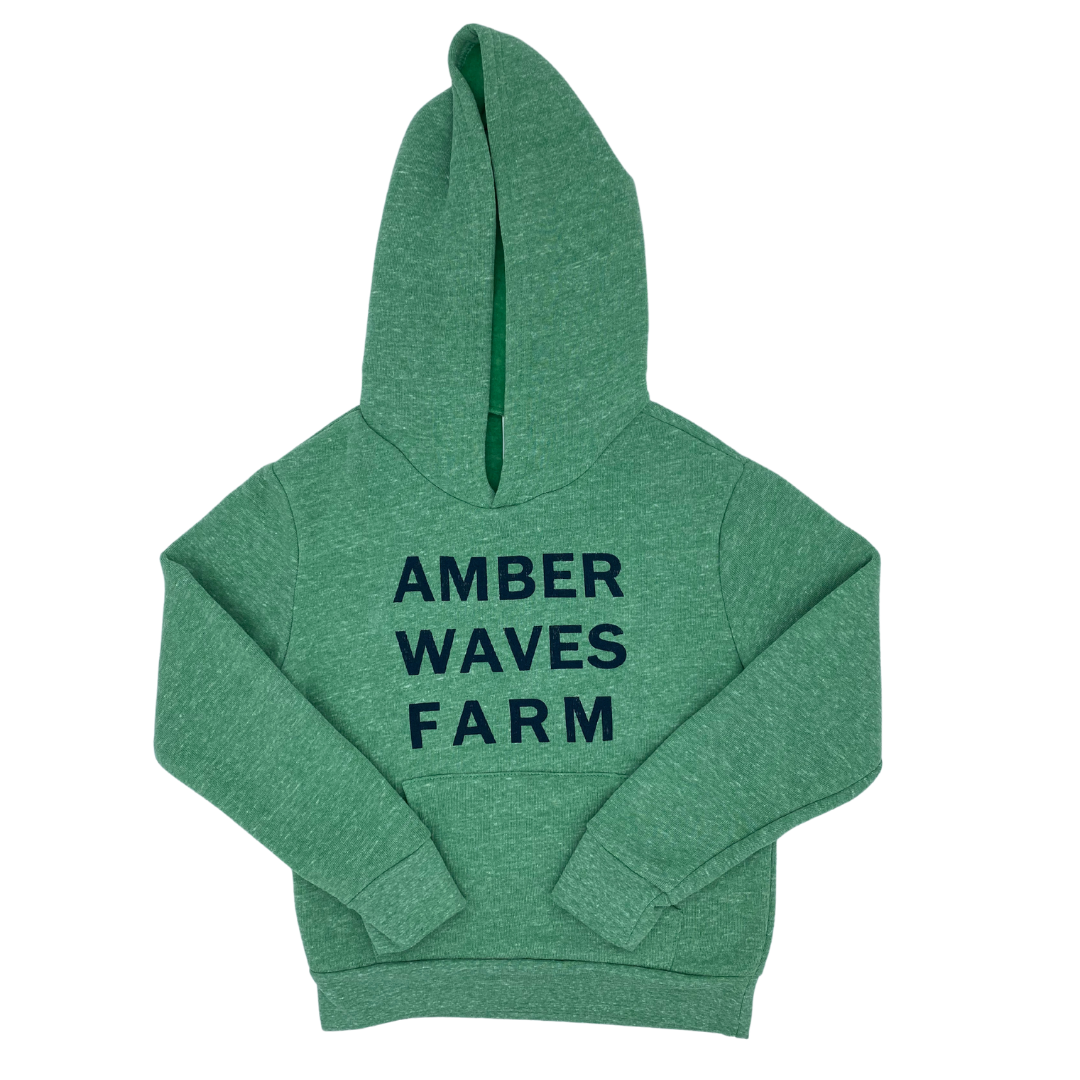 Youth Hooded Sweatshirt