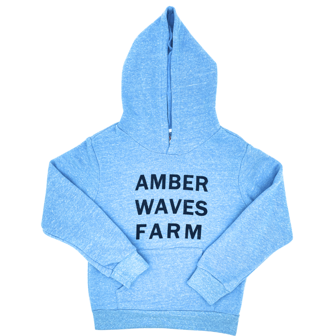 Youth Hooded Sweatshirt