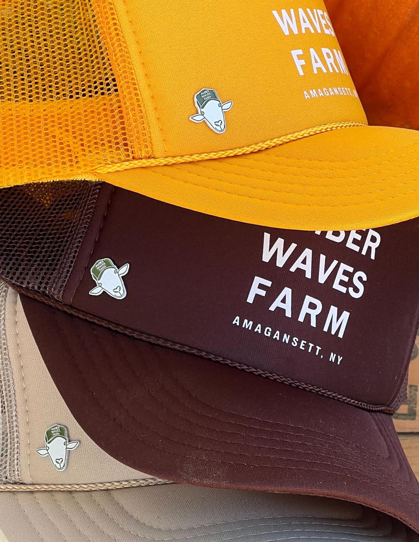 Explore & Support the Farm