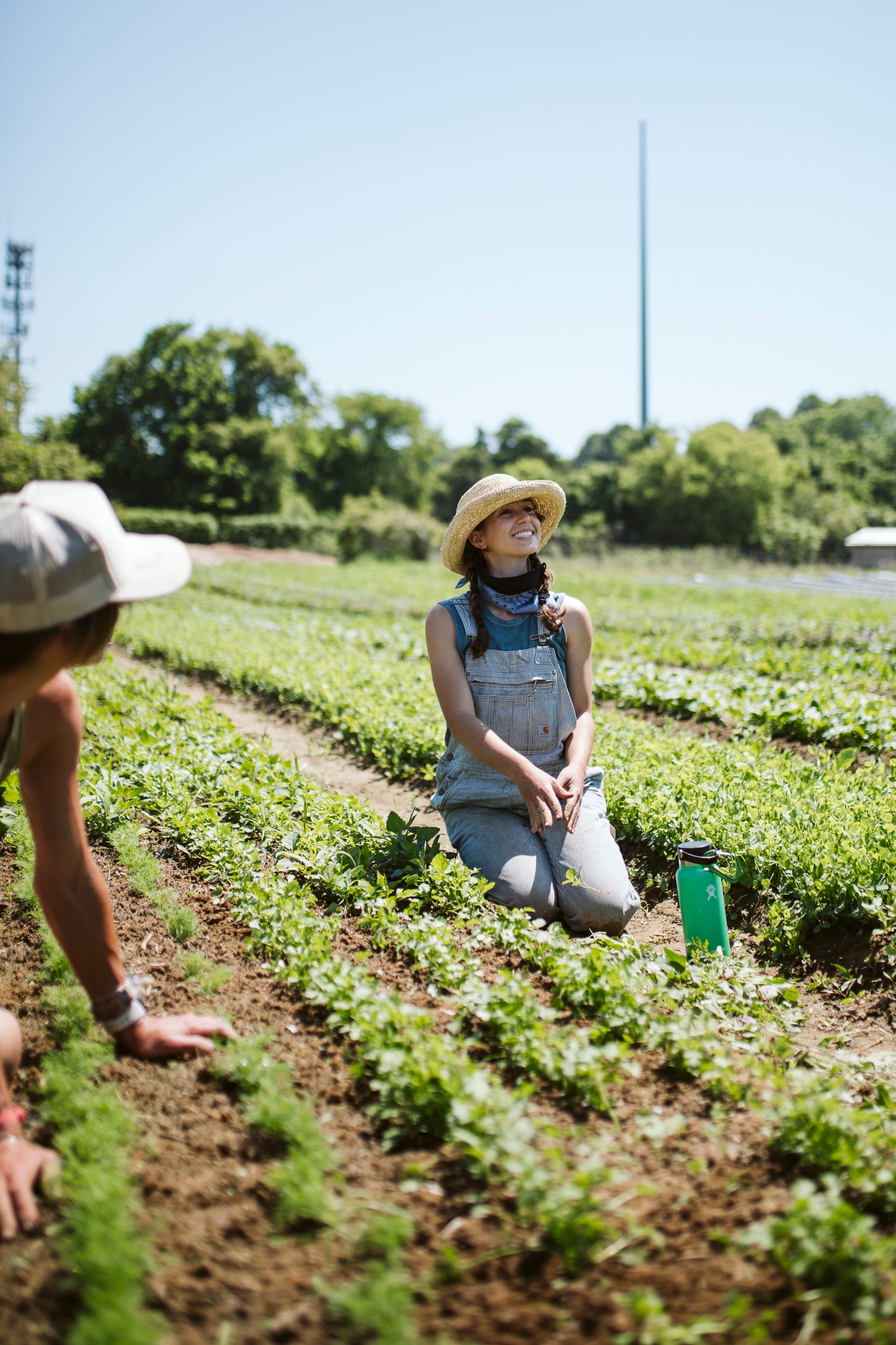 Explore & Support the Farm