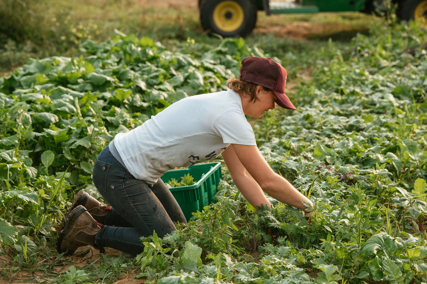 Explore & Support the Farm