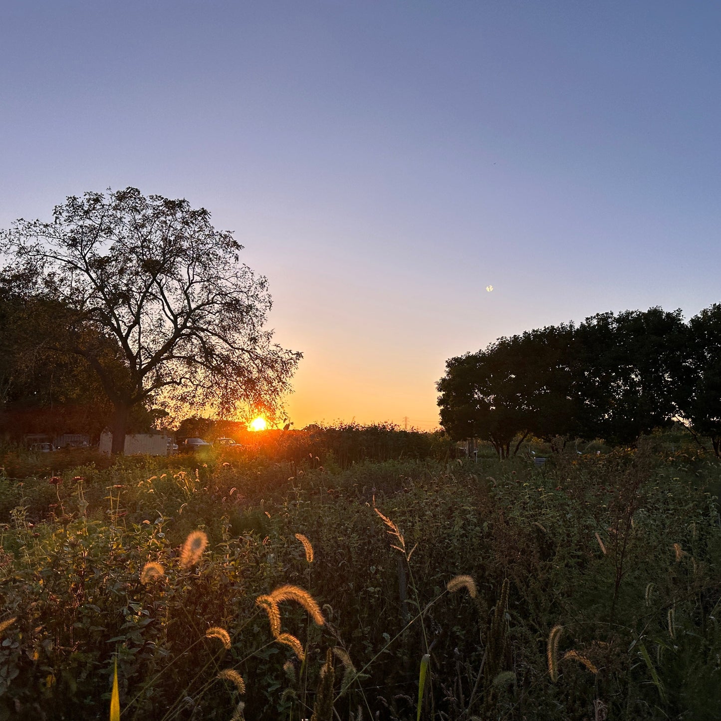 What do you get someone who has everything?