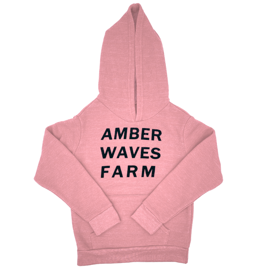 Youth Hooded Sweatshirt