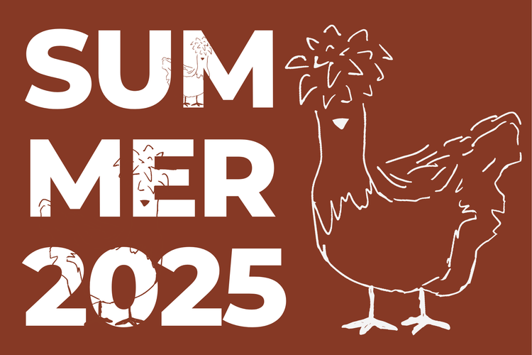 Summer 2025 Limited Edition