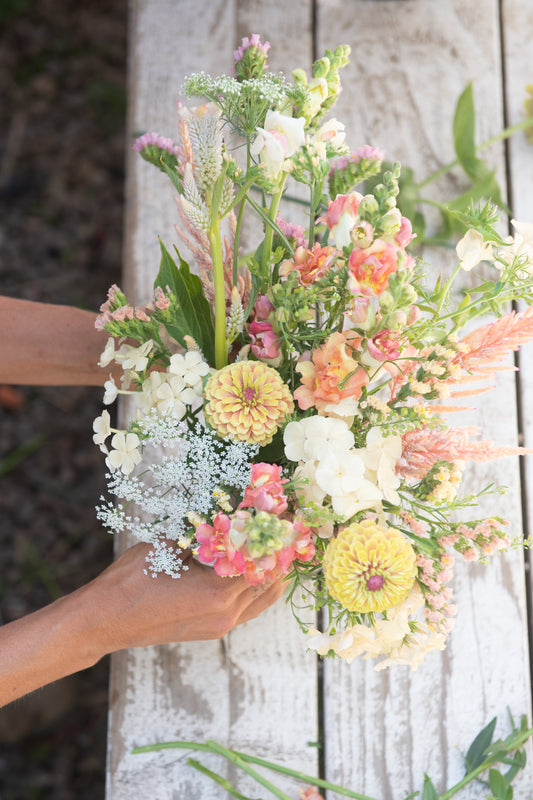 Pick Your Own Flowers at Amber Waves