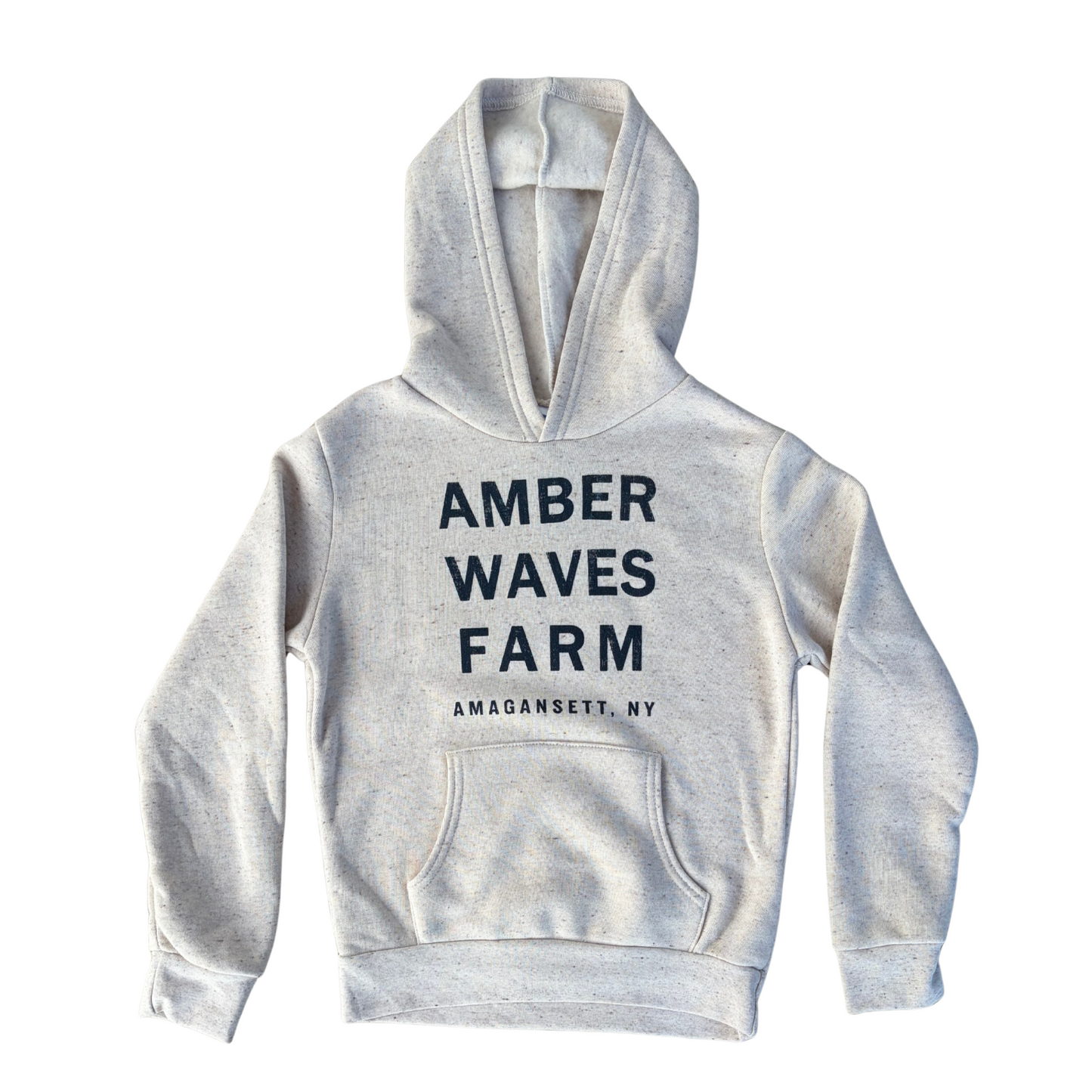 Youth Hooded Sweatshirt