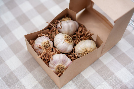Amber Waves Garlic Box