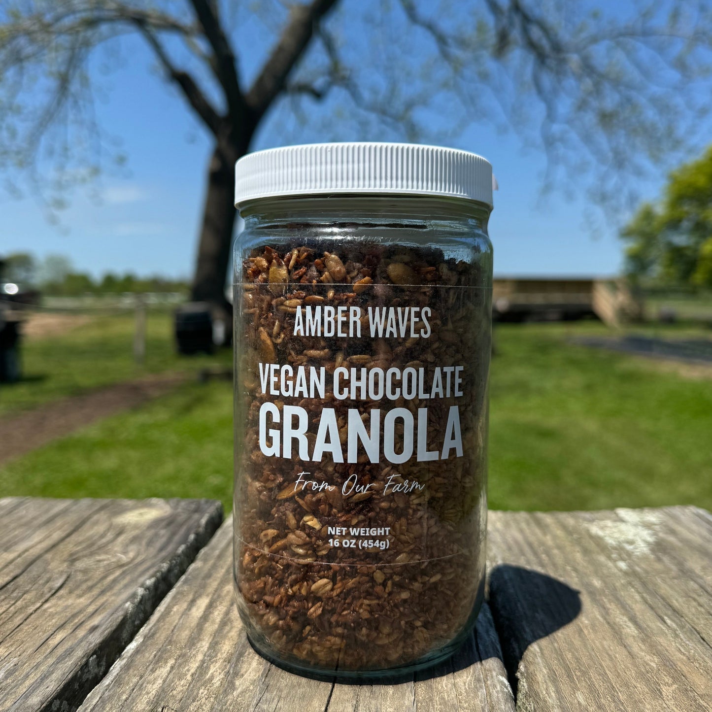 Vegan Chocolate Granola