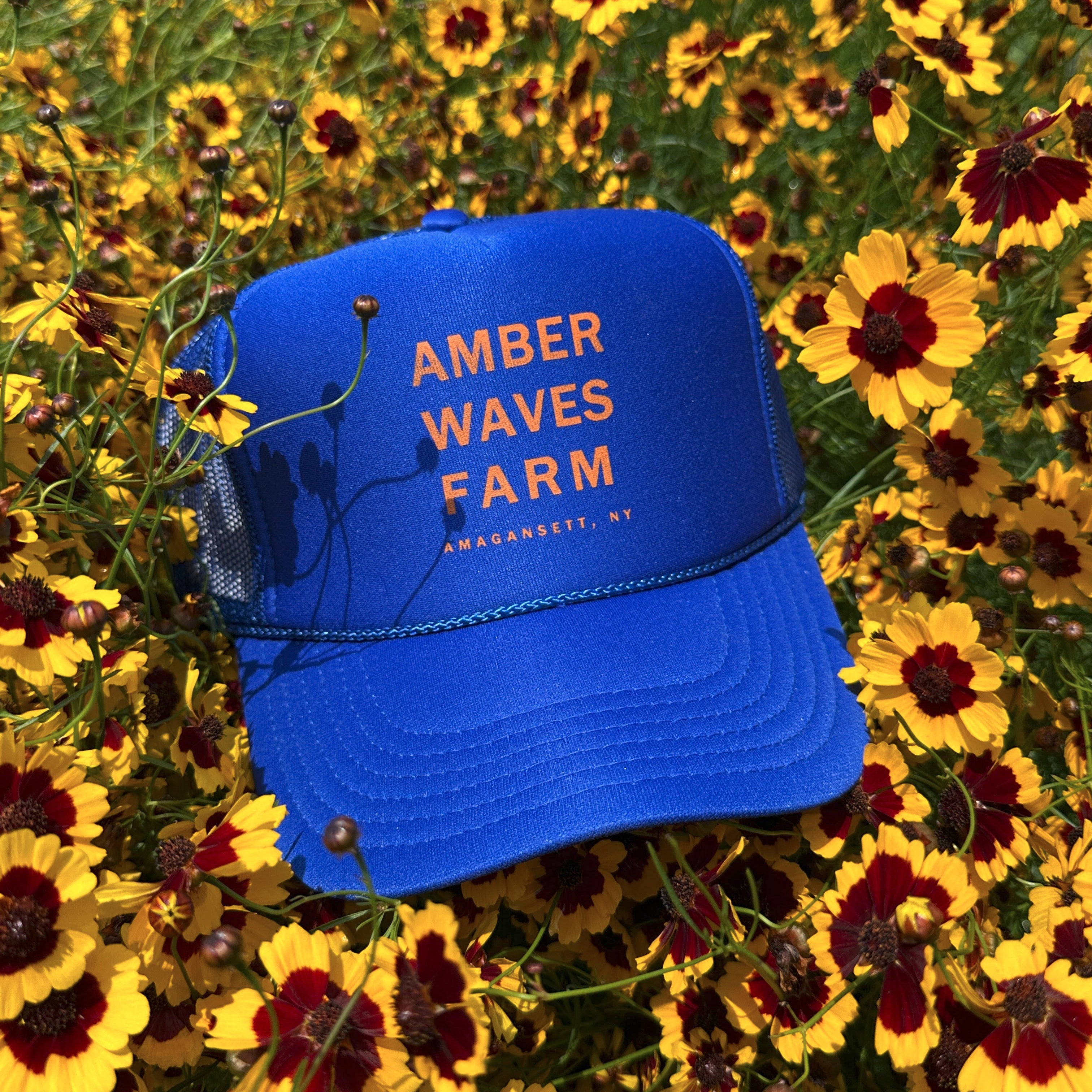 Amber Waves Market- Online Store – Amber Waves Online Market