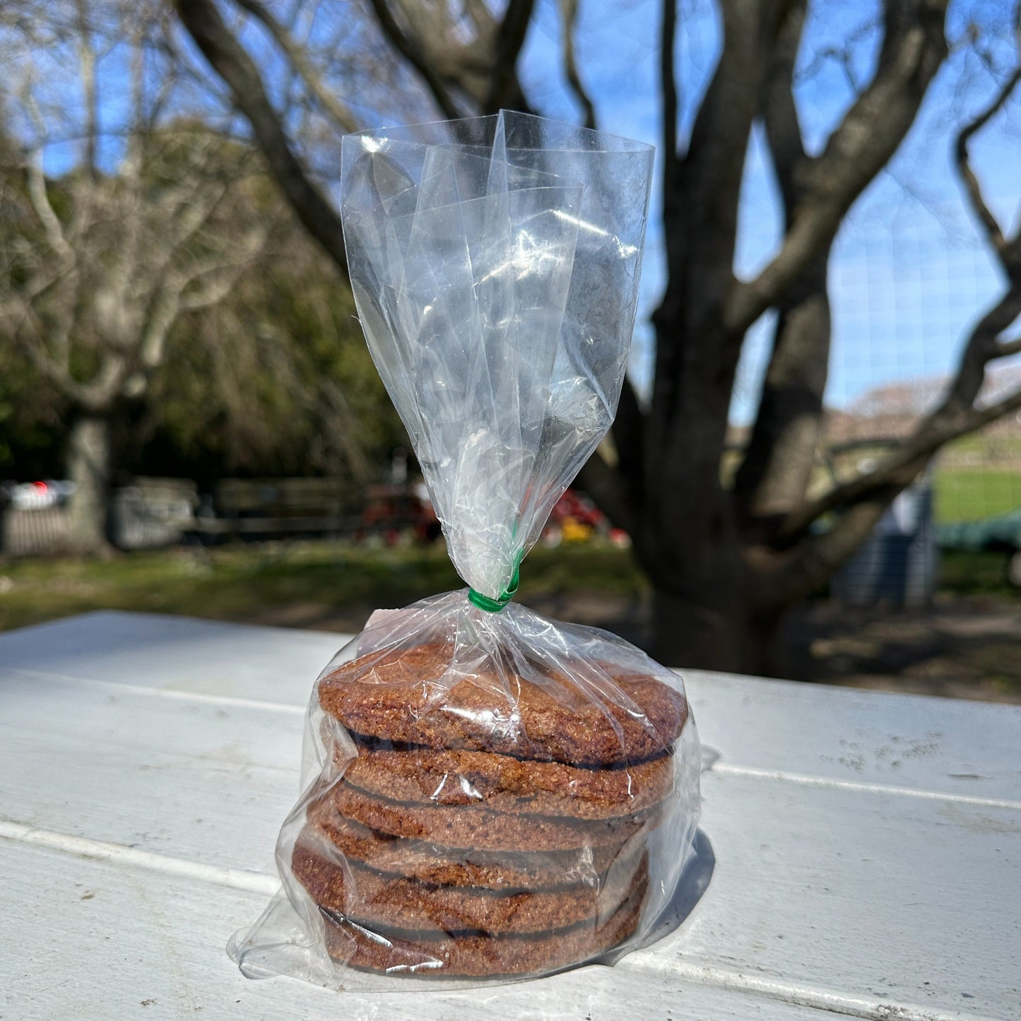 Amber Waves Oatmeal Raisin Cookies- 6-Pack (GF)