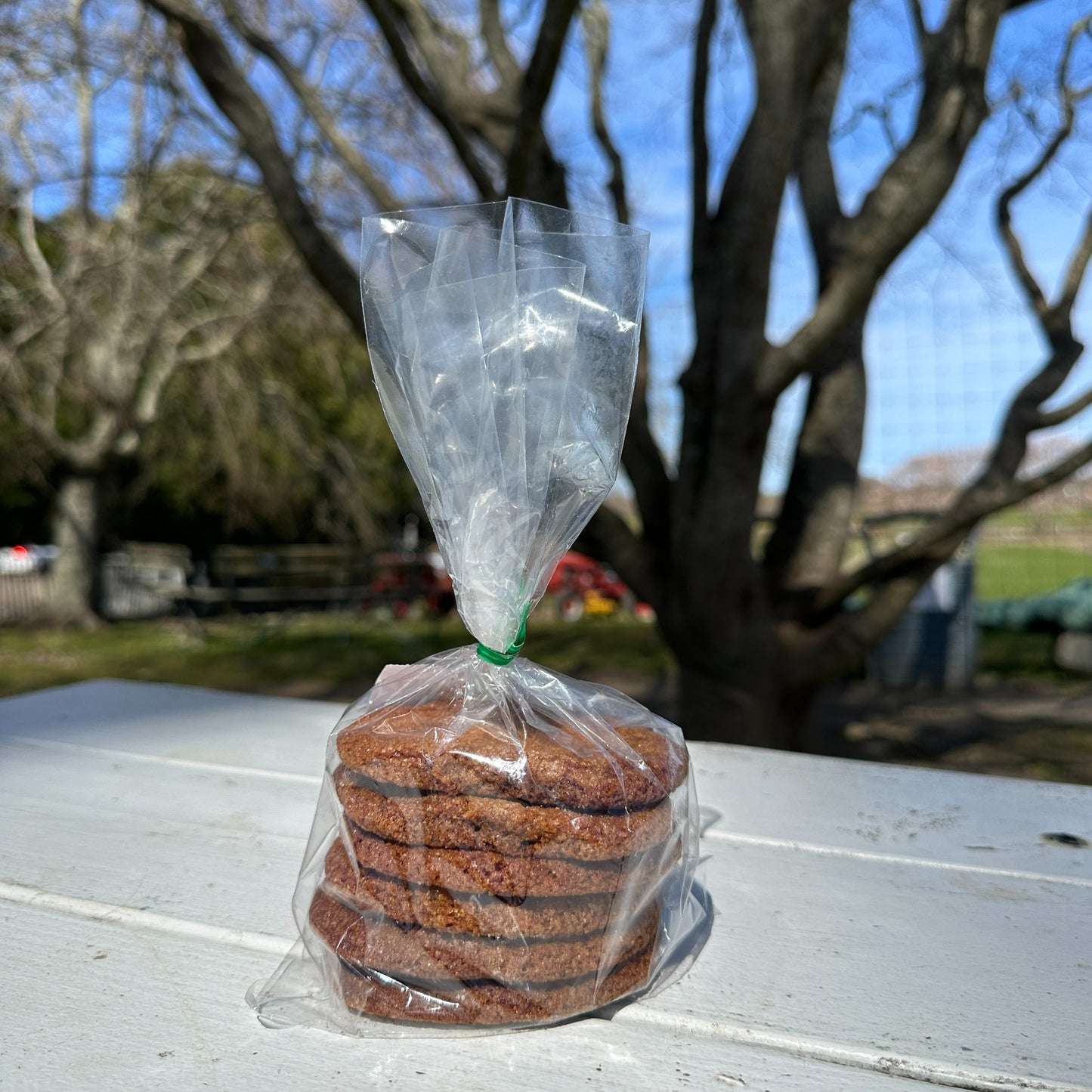 Gingerbread Molasses Cookie Stack (6 Cookies)