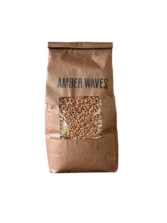 Amber Waves Soft Red Wheat Berries 2lbs.