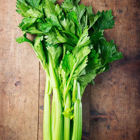 Local Celery, each