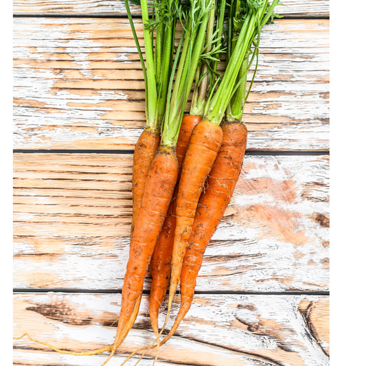 Amber Waves Orange Carrots, bunch