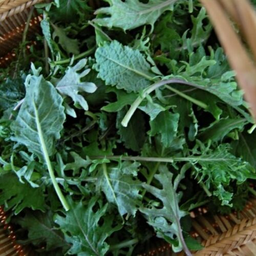 Amber Waves Baby Kale Mix, 1/3 lb bag.