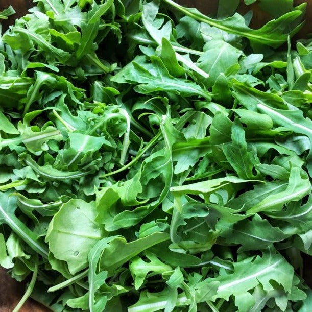 Amber Waves Baby Arugula, 1/3 lb bag