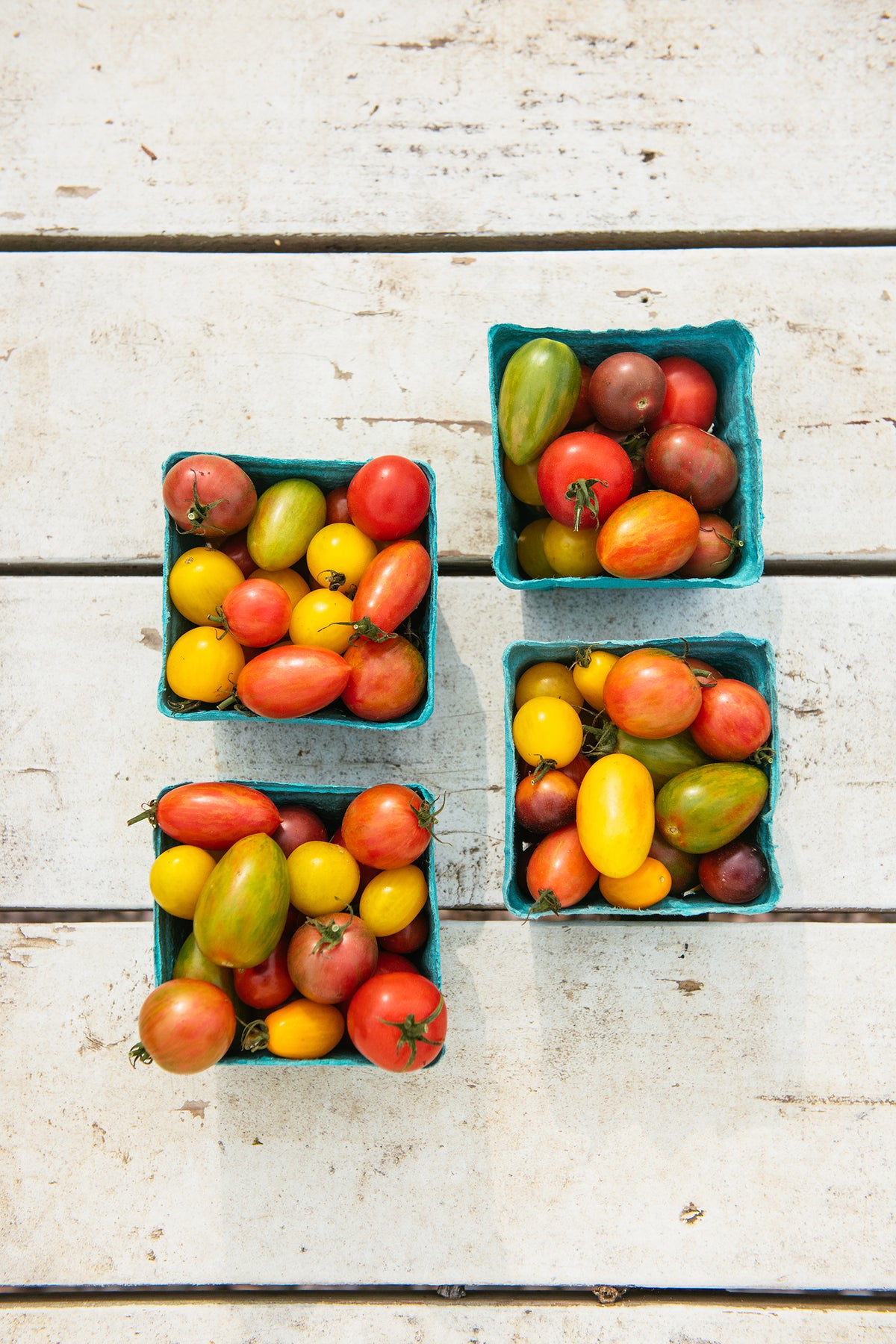 Cherry Tomato, by pint EDITH'S