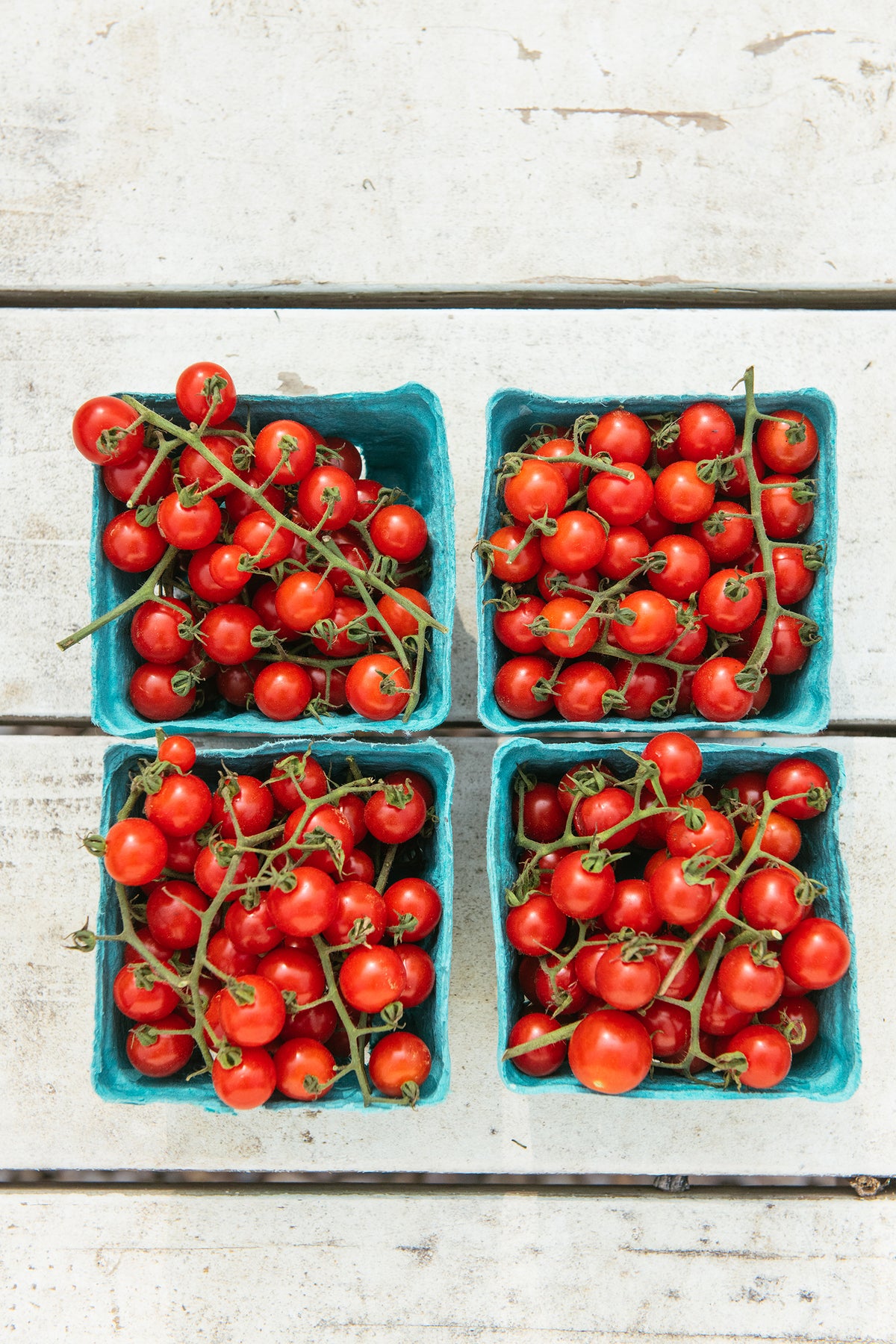 Cherry Tomato, by pint EDITH'S