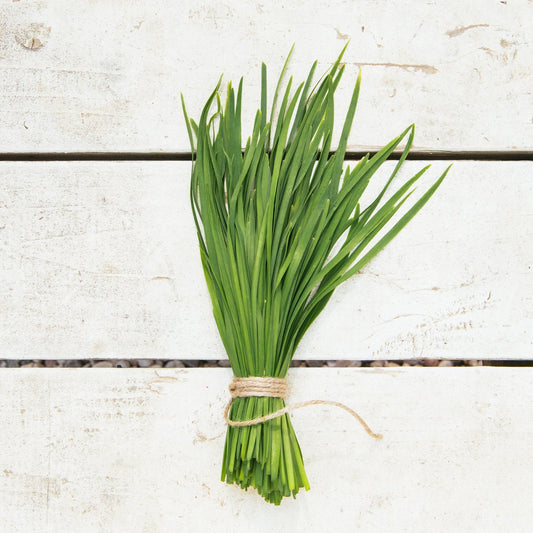 Amber Waves Chives, by bunch