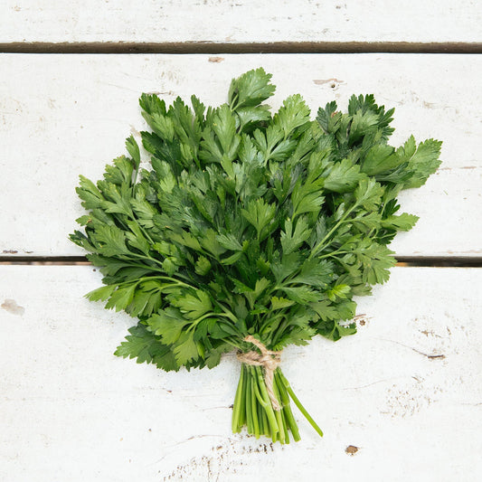 Amber Waves Parsley, bunch