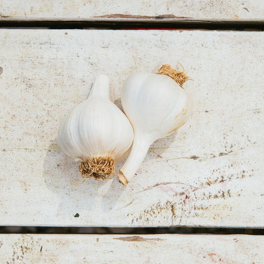 Amber Waves Garlic, each