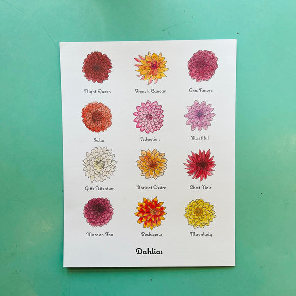 Dahlia Varieties Print - Laura Hurst