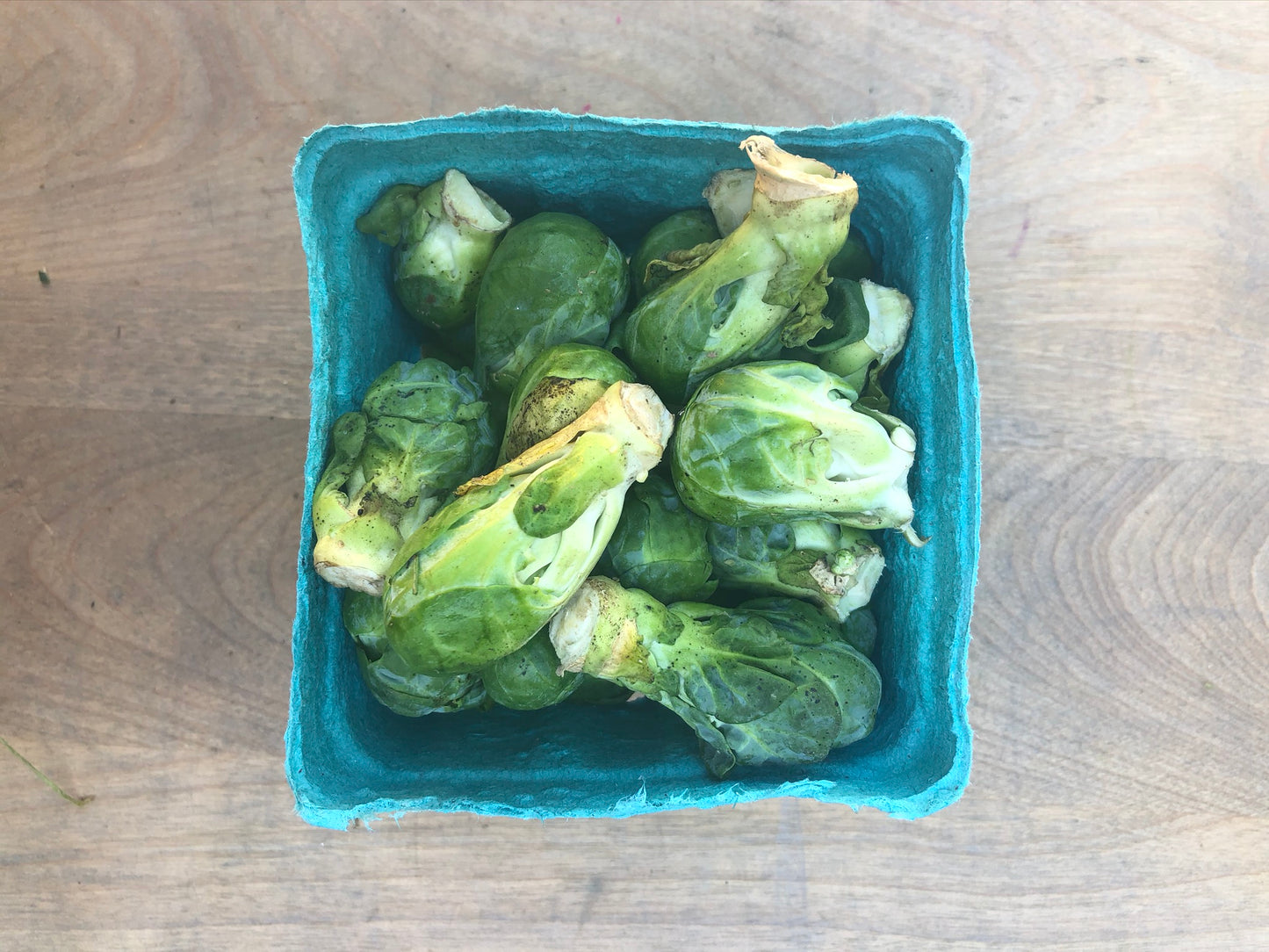 Local Brussels Sprouts, 1 pound