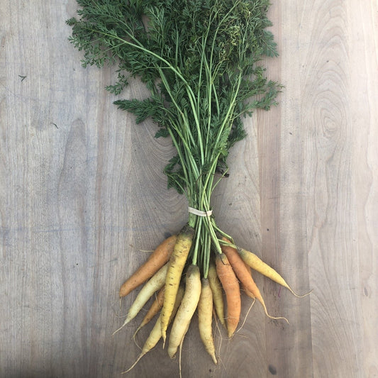 Amber Waves Rainbow Carrots, bunch