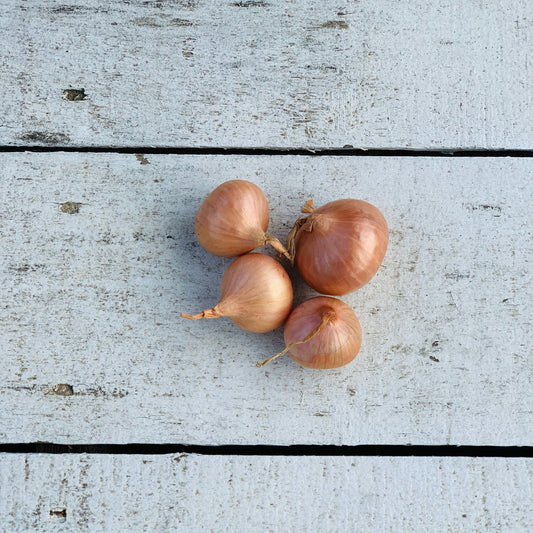 Shallot, each